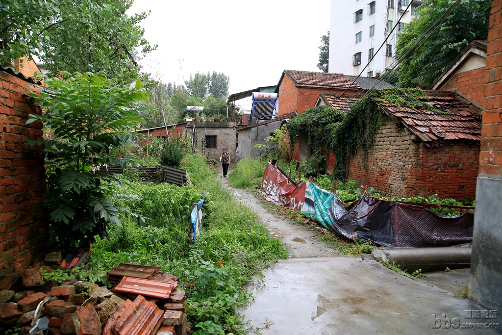 GAO_9077.JPG
