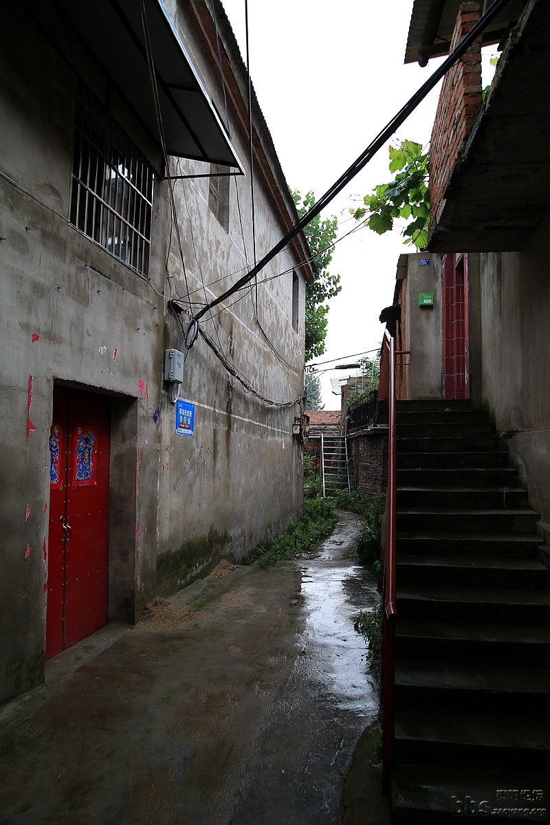 GAO_9083.JPG