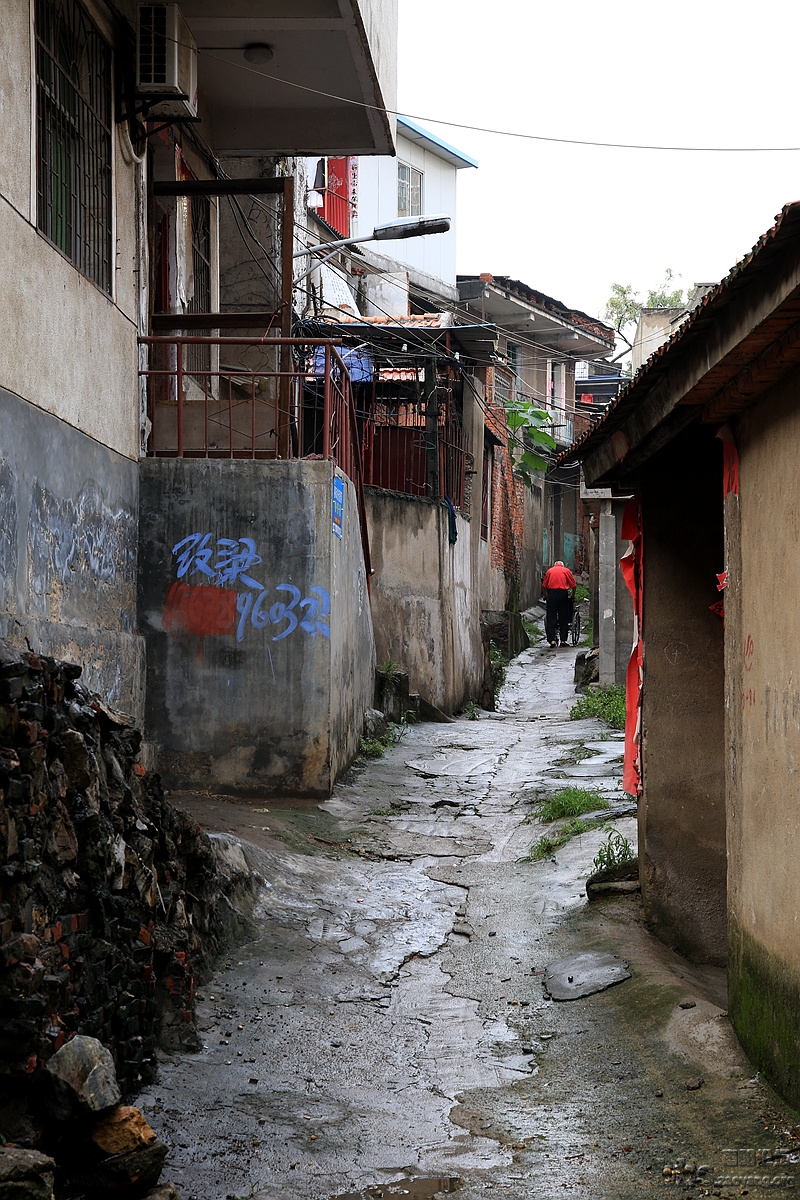 GAO_9090.JPG