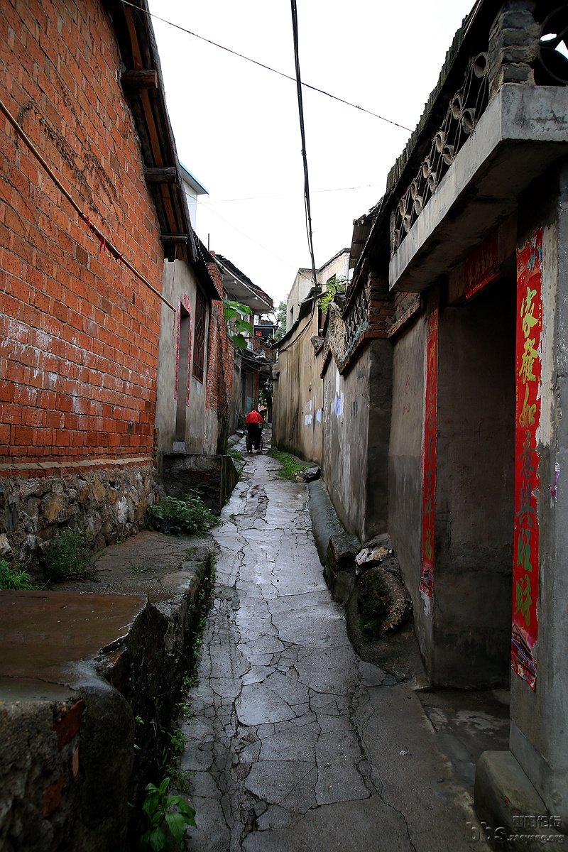 GAO_9092.JPG