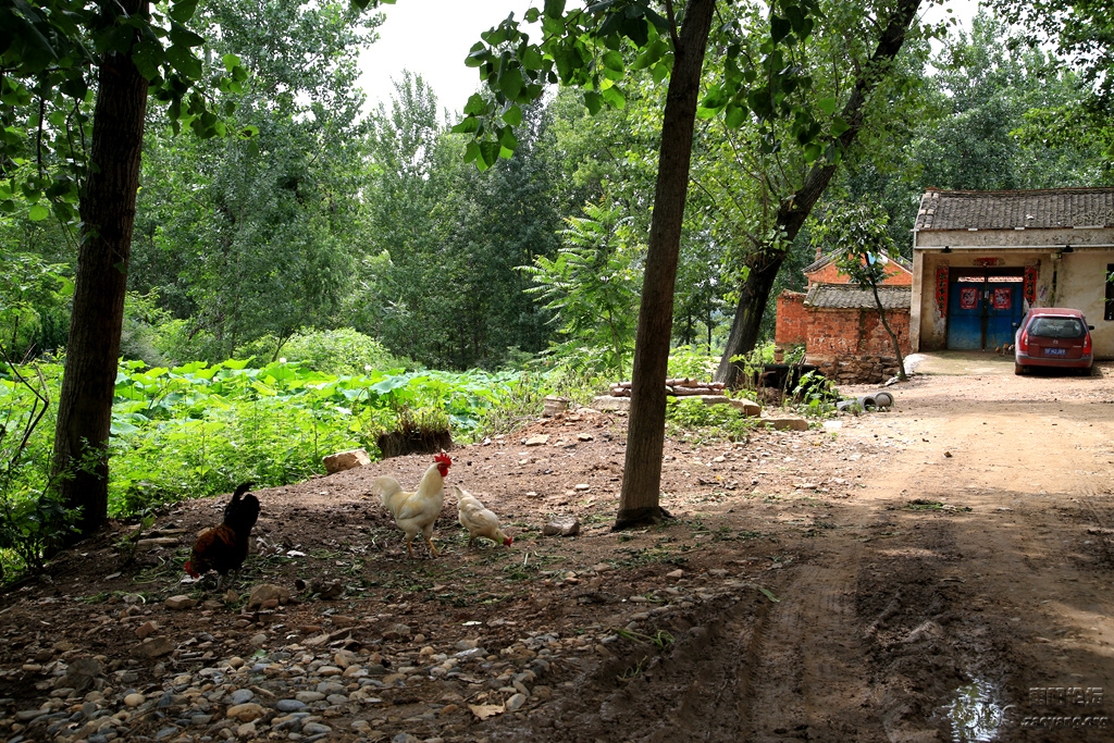 GAO_8583.JPG