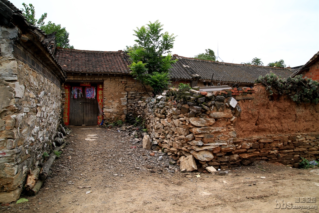 GAO_8616.JPG