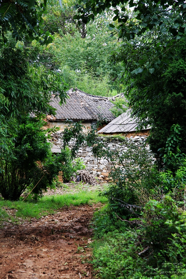 GAO_8650.JPG