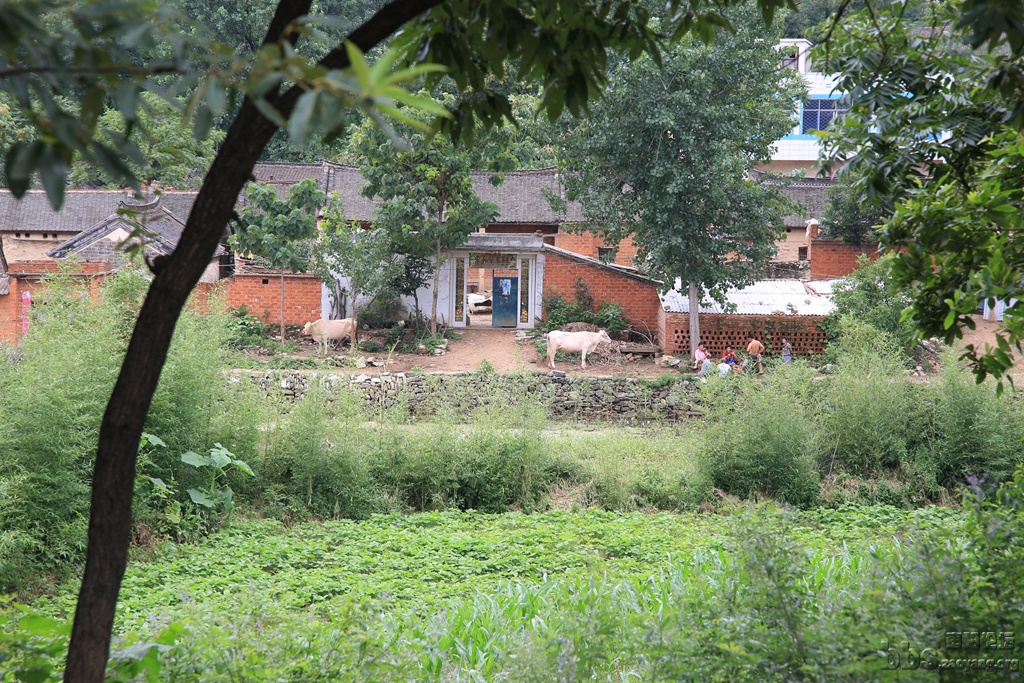 GAO_8657.JPG
