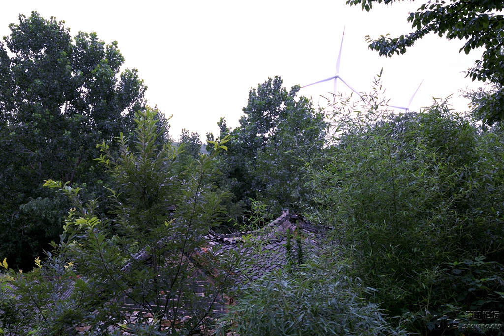 GAO_8659.JPG