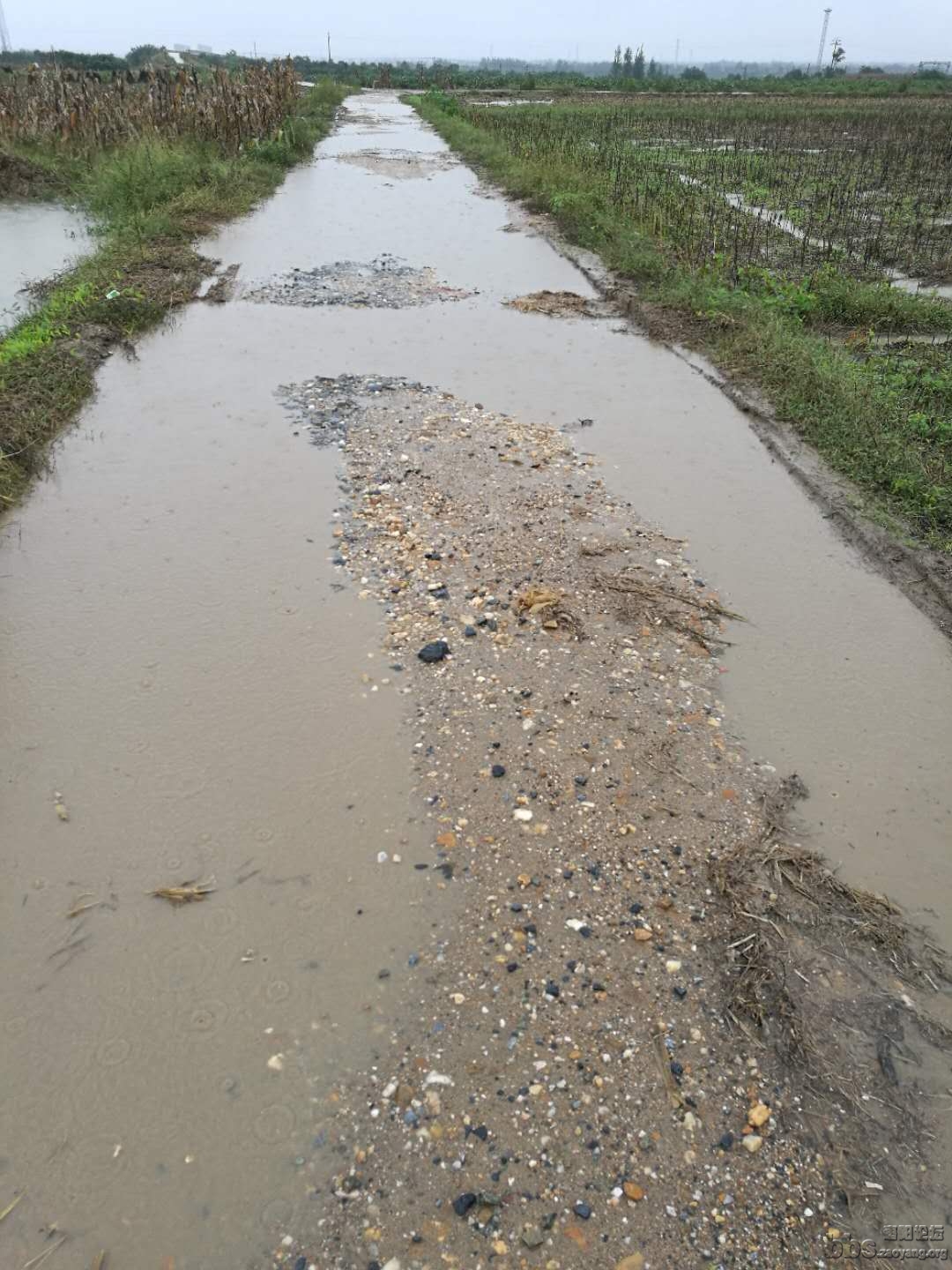 下雨的道路