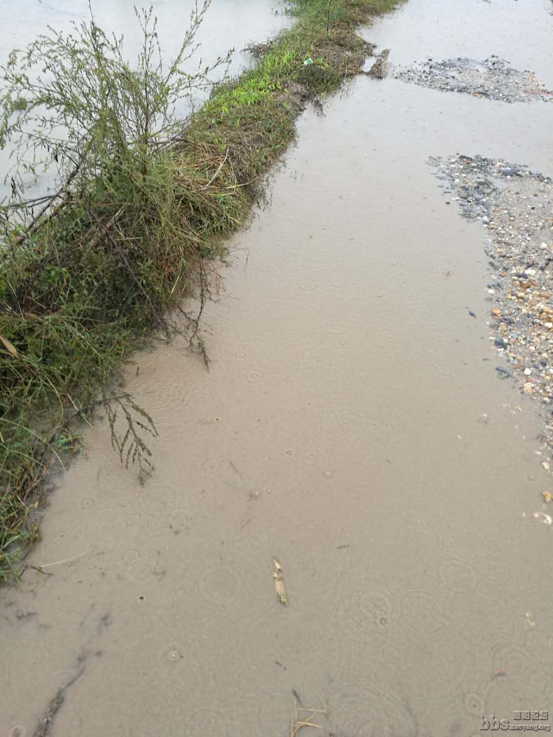 下雨天的路