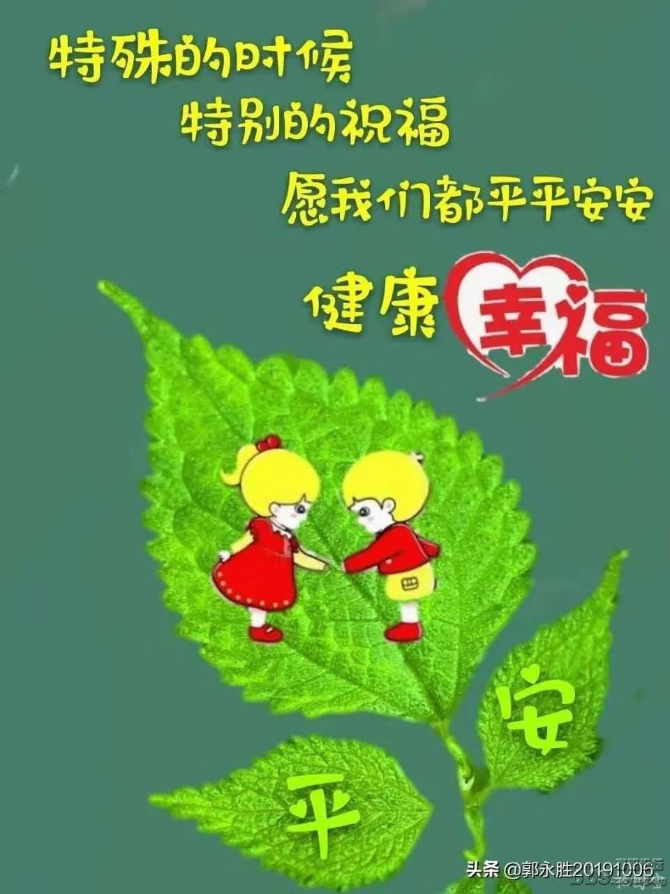 mmexport1582077975208.jpg