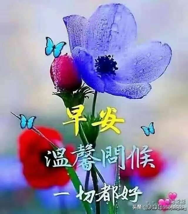 mmexport1584752674291.jpg