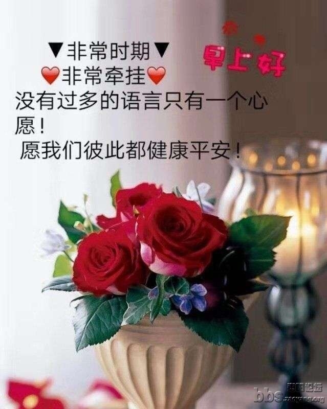 mmexport1584931473551.jpg