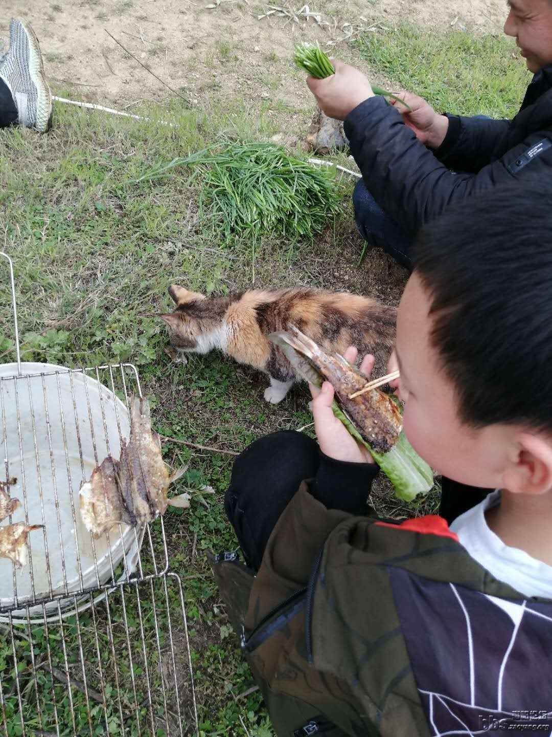 wechat_upload15879061795ea5868305c70