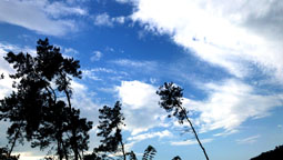 微信图片_20200801195536a.jpg