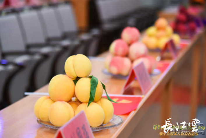 微信图片_20220407091755.png