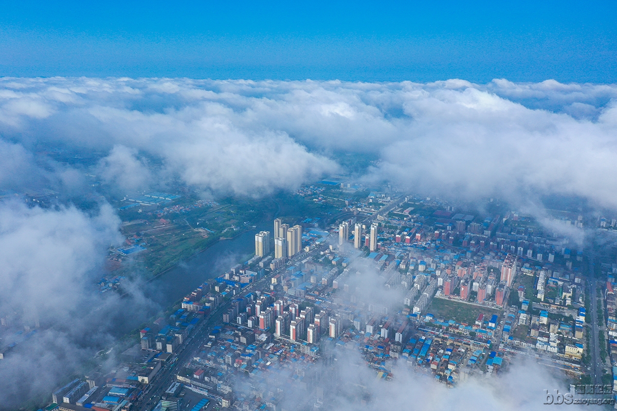 DJI_0123.jpg