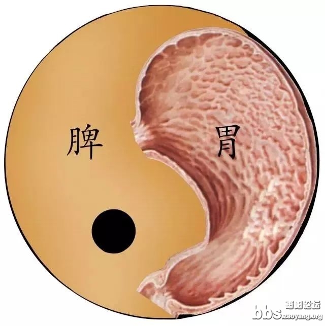 微信图片_20230411082313.jpg