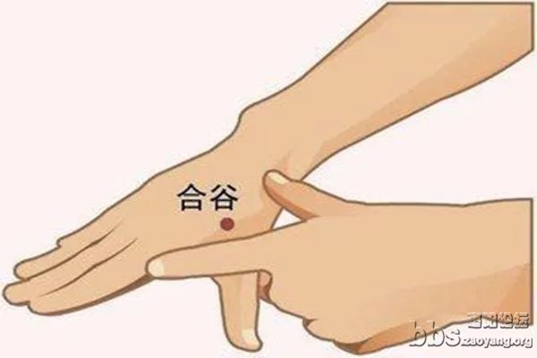 微信图片_20230419081706.jpg