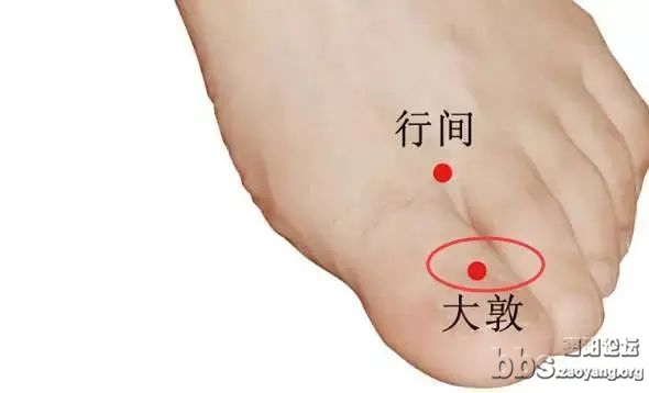 微信图片_20230503083601.jpg
