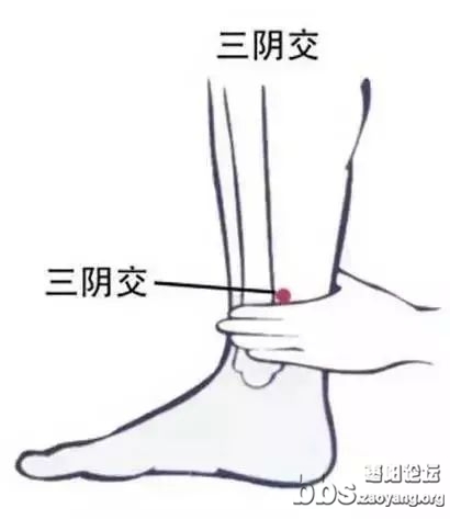 微信图片_20230503083634.jpg