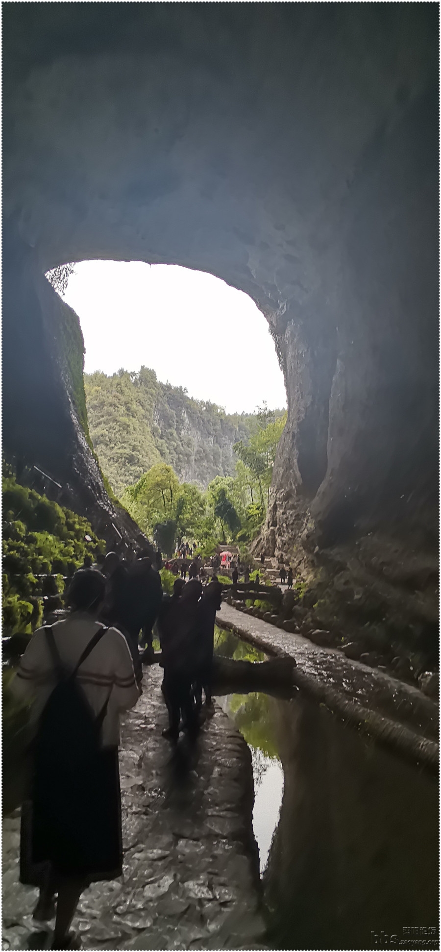 大酉洞洞中景致