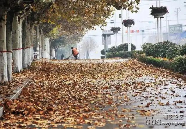 wechat_upload174623054668155d120a577