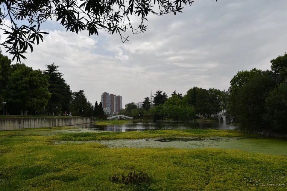 枣阳浕水公园图片